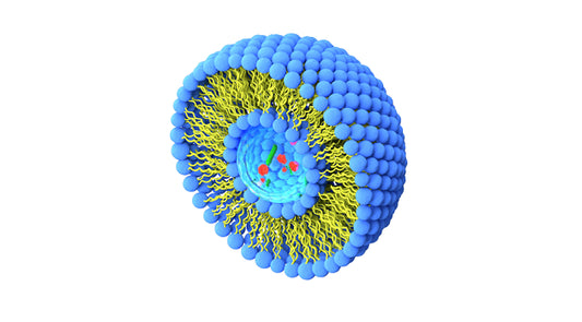 Benefits of using liposomal vitamin C
