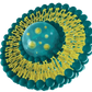 Liposomal technology