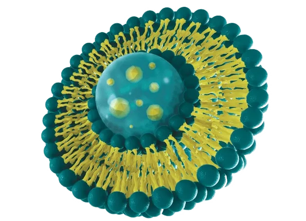 Liposomal technology